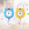 1PC Spring Scale Household Portable Multifunctional Pocket Scale Portable Small Scale Shopping Scale Mini Express Scale 10kg