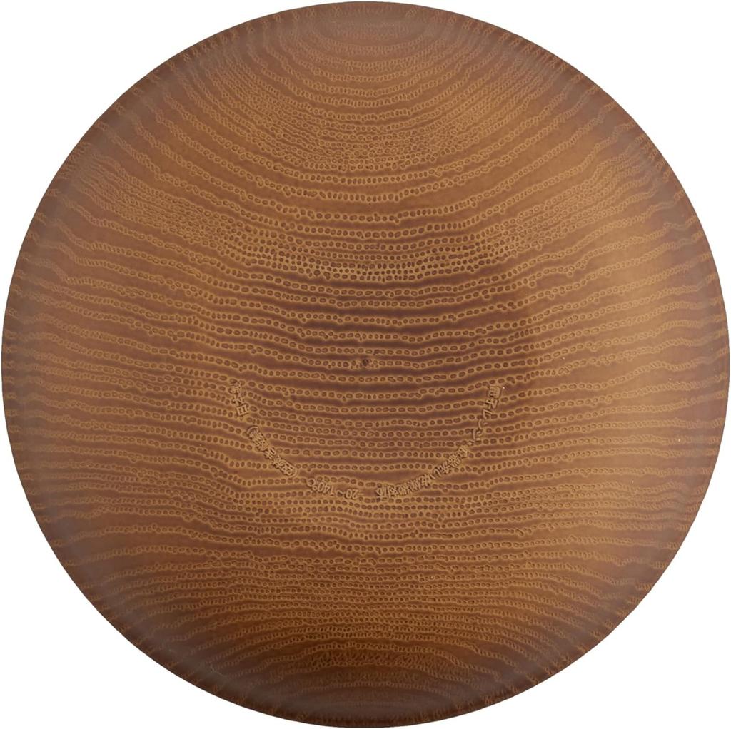 Набор из 5 тарелок Showa NHhome Clean Coat Смола Карри и Паста Можно использовать в микроволновой печи и посудомоечной машине Идеально для барбекю на открытом воздухе Круглые (CC) Тарелки, Япония,