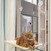Cozy Window-Mounted Cat Hammock: Detachable, Washable, Steel Wire Suction Cup Bed