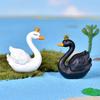 Crown Swan Micro-landscape Bonsai Succulent Ornament Black Swan Plastic Animal Ornament Horticultural Landscape Accessory