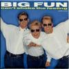 7-дюймовая пластинка BIG FUN Cant Shake The Feeling JIVE234 Jive 1989 UK Dance Electronica Б/у