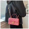 Small Square Bag Women's 2024 New Crossbody Bag Ladies Fashionable Simple Handbag