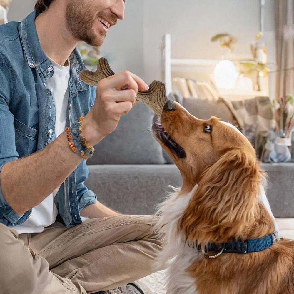 Creative Puppy Molar Toys Bone Shape Dog Interactive Toys Portable Dog Chew Stick Pet Dental Care