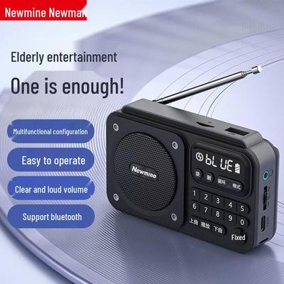 Портативный радиоприемник Newmine N123, штекер CN (адаптер в комплекте)