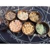 Coconut shell bowl, natural, Hainan, creative, Vietnamese old coconut shell bowl spoon set, dried fruit candle bowl