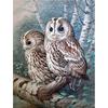 Алмазная вышивка две совы