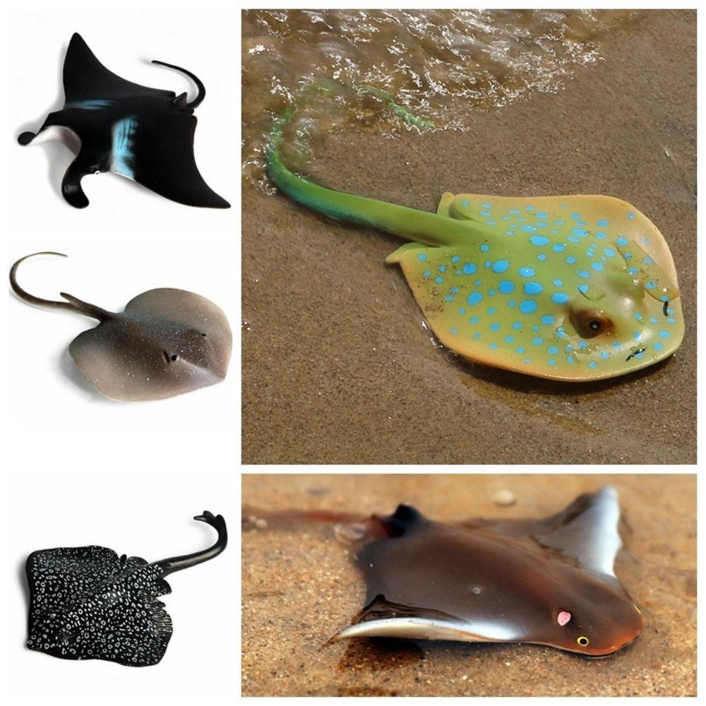 Fish Model Manta Ray Model Simulation Sea Life Action Figurines Ocean Animal Figures  Kids Toy