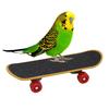 1 Pcs Pet Bird Training Parrot Funny Intelligence Mini Skateboard Tool For Parakeet Cockatiels Training Supplies