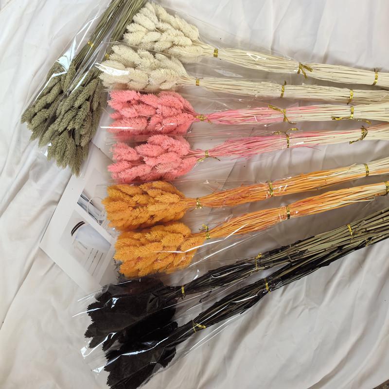 Dried Bunny Tail Prairie Arrangement with Wheat, Oats, and Foxtail Grass