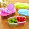 High Quality Healthy Food Container Portable Sealed Lunch Box Capacity Camping Picnic Food Fruit Storage Box for Kids Dinnerware