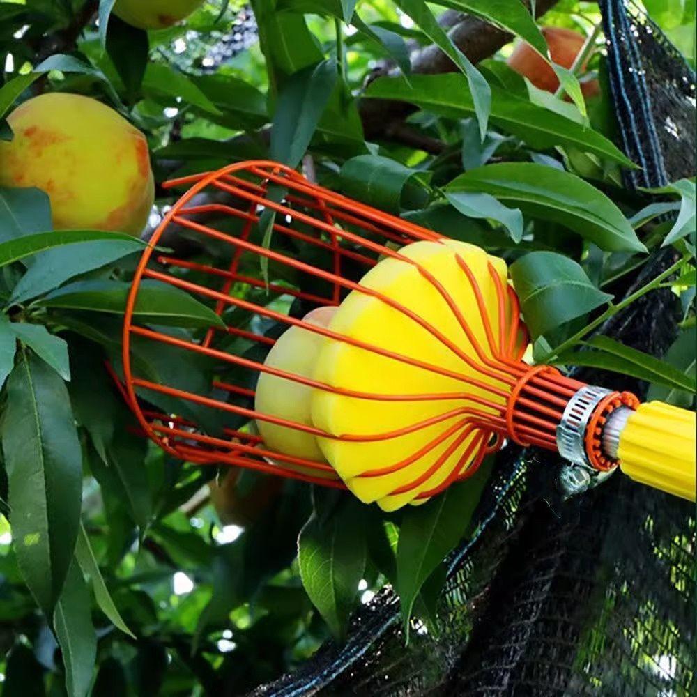 High-Altitude Fruit Picking Artifact Fruit Picker Peach Persimmon Pear Apple Loquat Picking Artifact