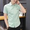 Summer Men's Short-sleeved Shirt Trend Fashion Embroidery Shirt Slim Work Men's Professional Inch Shirt