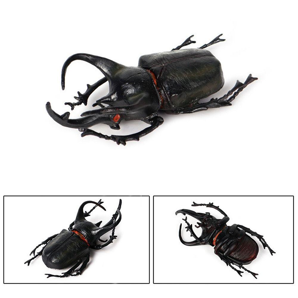 Realistic Beetle Action Figures Wild Insect Lifelike Insect Figurines Desktop Ornament