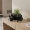 3D Printed Dragon Shaped Plant Pot Growing Pots Plastic Flower Container Funny Handmade Succulent Planter for Living Room
