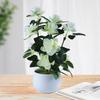 1 компл., искусственное растение в горшке, портативное, неувядающее, пластиковое, для домашнего декора, имитация цветка для свадьбы
