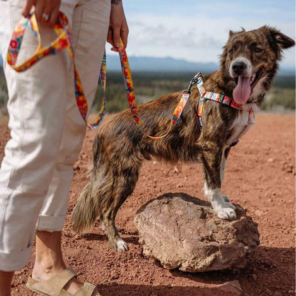 WOLFGANG MarbleWave Harness Width X Chest for (Medium Size) 1.6cm 40-61cm [Harness Medium-sized Dogs]