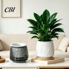 Durable Plastic Planter Self Watering with Wick Rope for Indoor Plants, Double Layer Easy Care Plant Pot Transparent Hydroponic Planter, Decorative