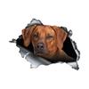 Rhodesian Ridgeback 3D Break the Wall Car Sticker, Waterproof Vinyl Material Accessories, Interesting For Cars, Trucks, Motorcycles, Walls