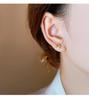 Square Sugar Earrings for Women