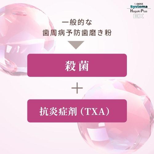 LION Haguki Plus EX Toothpaste, 90g, 2 Bottles