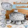 5pc Seal Pillow, Cotton Plush Animal Toy, With An Adorable Ocean Theme.