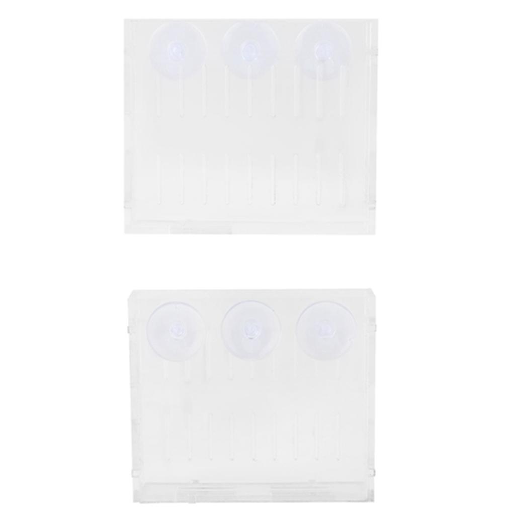 Аквариумный Растение Водная Трава Чаша Ландшафтные Растения Культивация Бассейн Чаша с Присосками