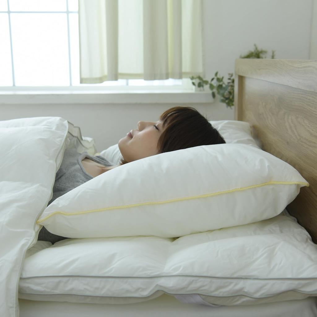 Danfill Premium Fiber Pillow, High, JPA227