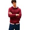 Толстовка с капюшоном Linear Logo Regular Fit