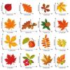Thanksgiving Autumn Fall Leaves Window Clings Windows Doors Decorated with Maple Leaves Thanksgiving Glass Stickers Decoration