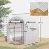 Walk in Polytunnel Greenhouse, Green House for Garden with Roll-up Window and Door, 1.8 x 1.8 x 2 m, White