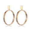 Stylish Gold Plated Geometric Earrings Trendy Street Style Must-have Jewelry