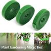 Зеленая форма растения вьющаяся виноградная лоза садовая липучка кабельная стяжка для веток, цветов и растений - фиксированная поддержка и связывание