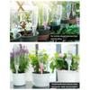 Adjustable Self Watering Spike Plant Slow Release Automatic Plant Watering Drip Watering System Device
