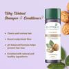 Biotique Шампунь и кондиционер с грецким орехом 120 мл для тонких волос, для объема и роста, 100% натуральные растительные экстракты