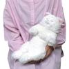 SunLemon Sleeping Lap Cat Persian White 22 X 14 X 47cm Plush Animal Cute Cat White P-1273