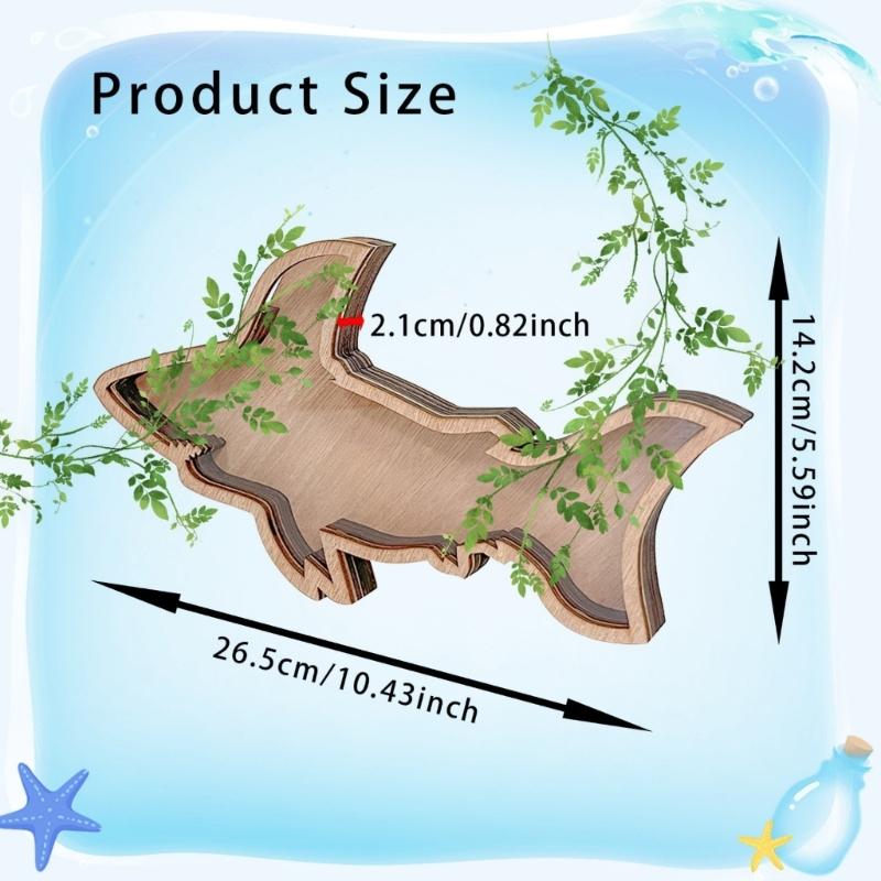 Starfishs Shape Seashells Display Box with Clear Acrylic Front Wood Seashells Holders for Shark Teeth Small Shadows Box