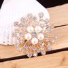 Fashion Diamond Snowflake Brooch, Alloy Ladies Pearl Brooch Accessories Versatile Silk Scarf Buckle Pin