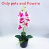 Aphrodite Phalaenopsis Artificial Rchb Potted Plant  For Gift And Decor Interior