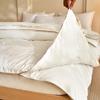LISM Feather Fiber All-Season Zippered Duvet Insert Set