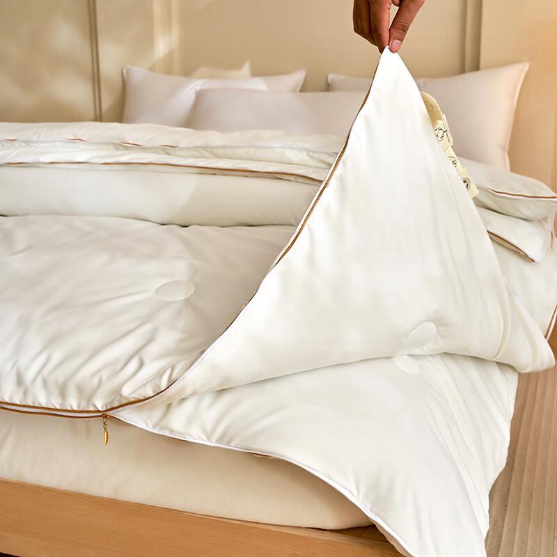 LISM Feather Fiber All-Season Zippered Duvet Insert Set