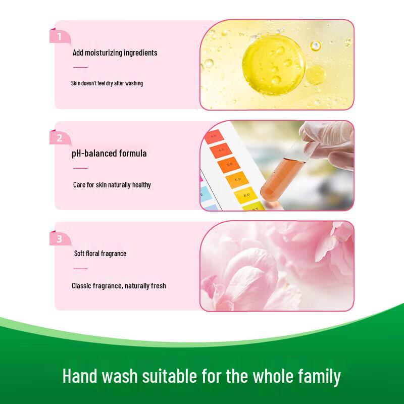 Dettol Moisturizing Antibacterial Hand Wash (3x500g)