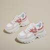 Dad Shoes for Women's New Autumn Korean Versatile Women's Shoes Thick Sole Height-enhancing Breathable Sports Mesh Shoes
