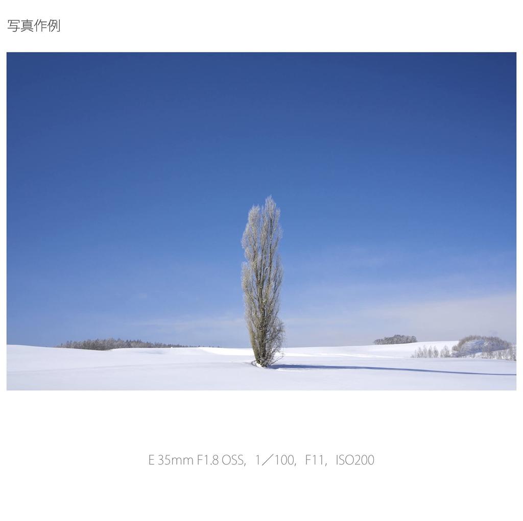 Sony Single Focus Lens E 35mm OSS for Sony E Mount Only SEL35F18 F1.8 APS-C