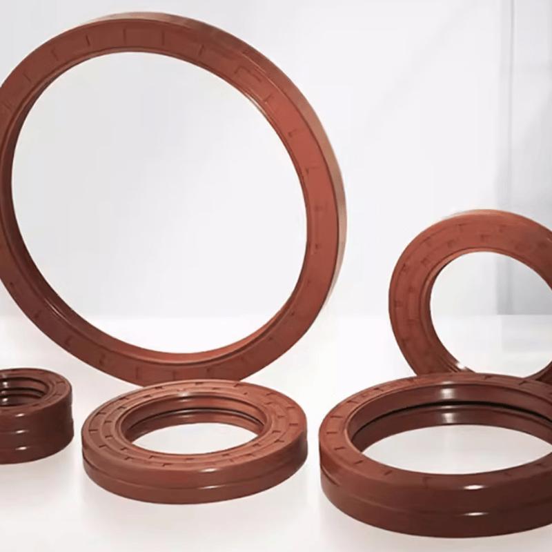 Nietzsche Fluororubber Double-Lip Seal Ring