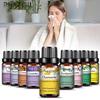 PHATOIL 10ml Eucalyptus Lavender Chamomile Pure Plant Extract Essential Oil For Cold Relief Flu Prevention Tea Tree Oil Purify the Air Bactericide