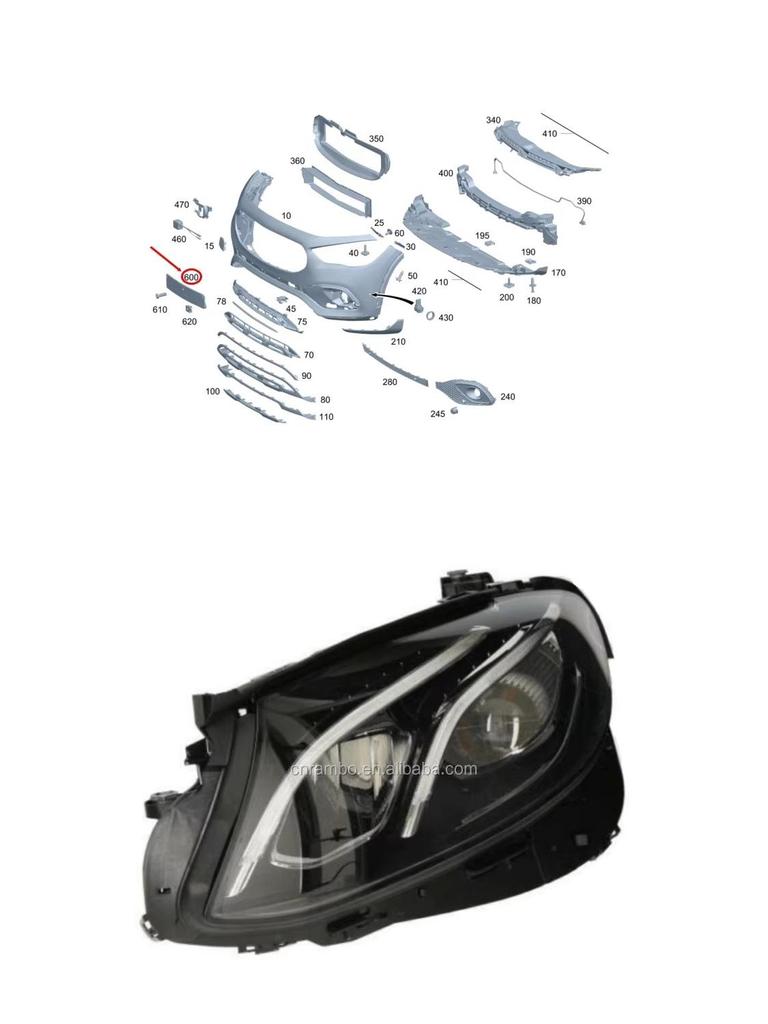 License Plate 2478809507 for Mercedes-Benz W247 (2022-2025).