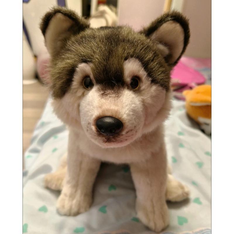 38см Симуляция Волка Собаки Плюшевая Игрушка Реалистичная Плюшевая Животная Питомец Мягкая Подушка Серия Домашнее Украшение Детская Игрушка Подарок на День Рождения