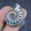 Ammonite Fossil Gemstone 925 Sterling Silver Jewelry Ring Size 9