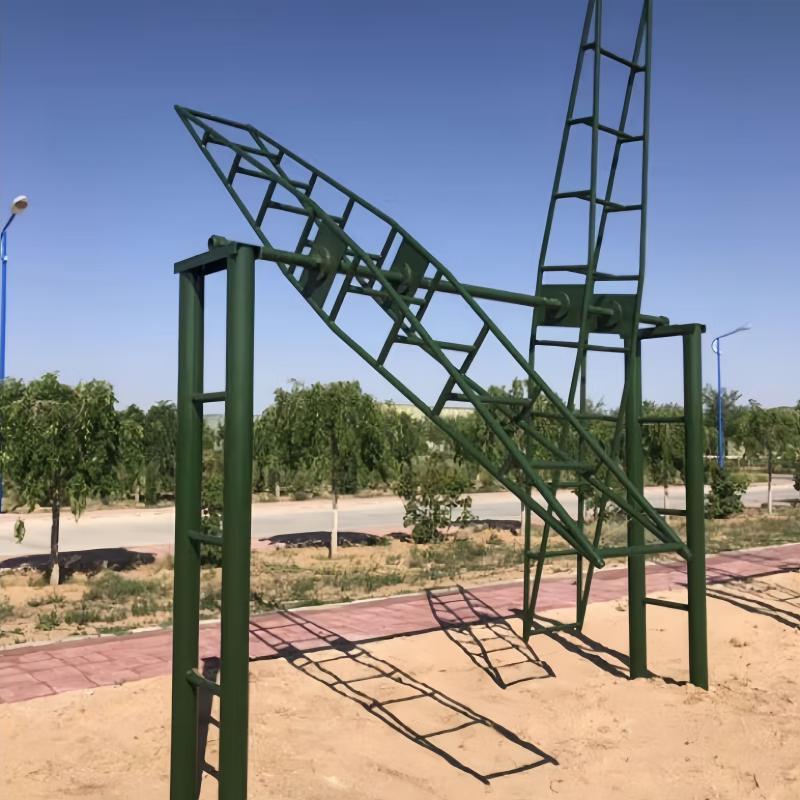 Time Bird Anti-Dizziness Dual Rotating Ladder Trainer