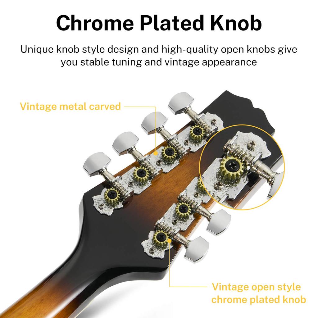 Donner Mandolin 8 струн для начинающих с мягким футляром и тюнером Струны DML & & & (солнечные лучи)